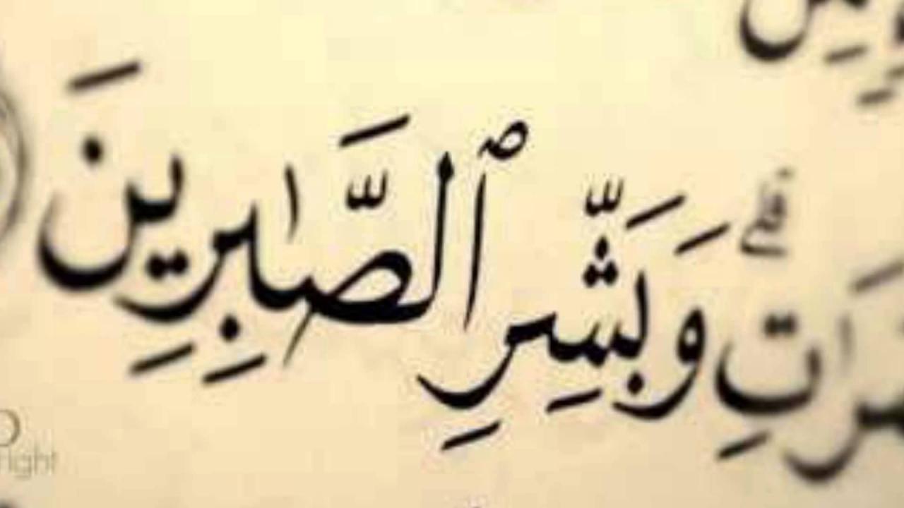 صور فيسبوك جميلة - شاهدنا الكثير من صور الفيس ولكن لم نشاهد مثل هذا من قبل 3693 5