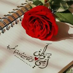 صورعن الام حزينه - اجمل صور وعبارات عن الام 13379 3