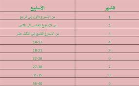 حاسبة الحمل والولادة - اعرفي عمر طفلك 2105 1