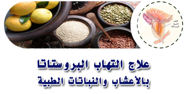 علاج البروستاتا بالاعشاب - طرق علاج التهاب البروستاتا 4076