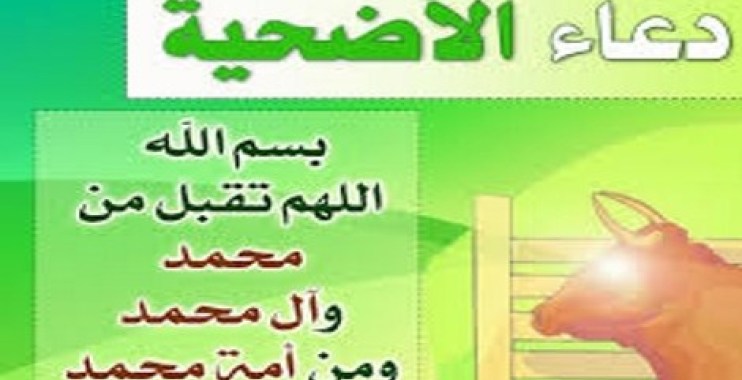 دعاء ذبح اضحية العيد - مراحل ذبح اضاحى العيد 12106