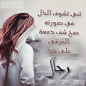 صور شخصية واتس اب - خلفيات مميزة للمواقع الاجتماعية 5846