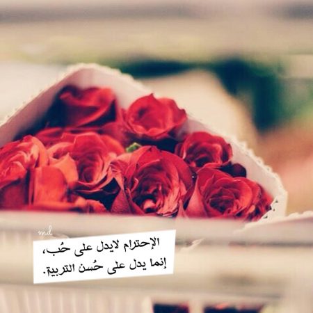 خلفيات واتساب جميله - اروع الخلفيات للواتس اب 858 3