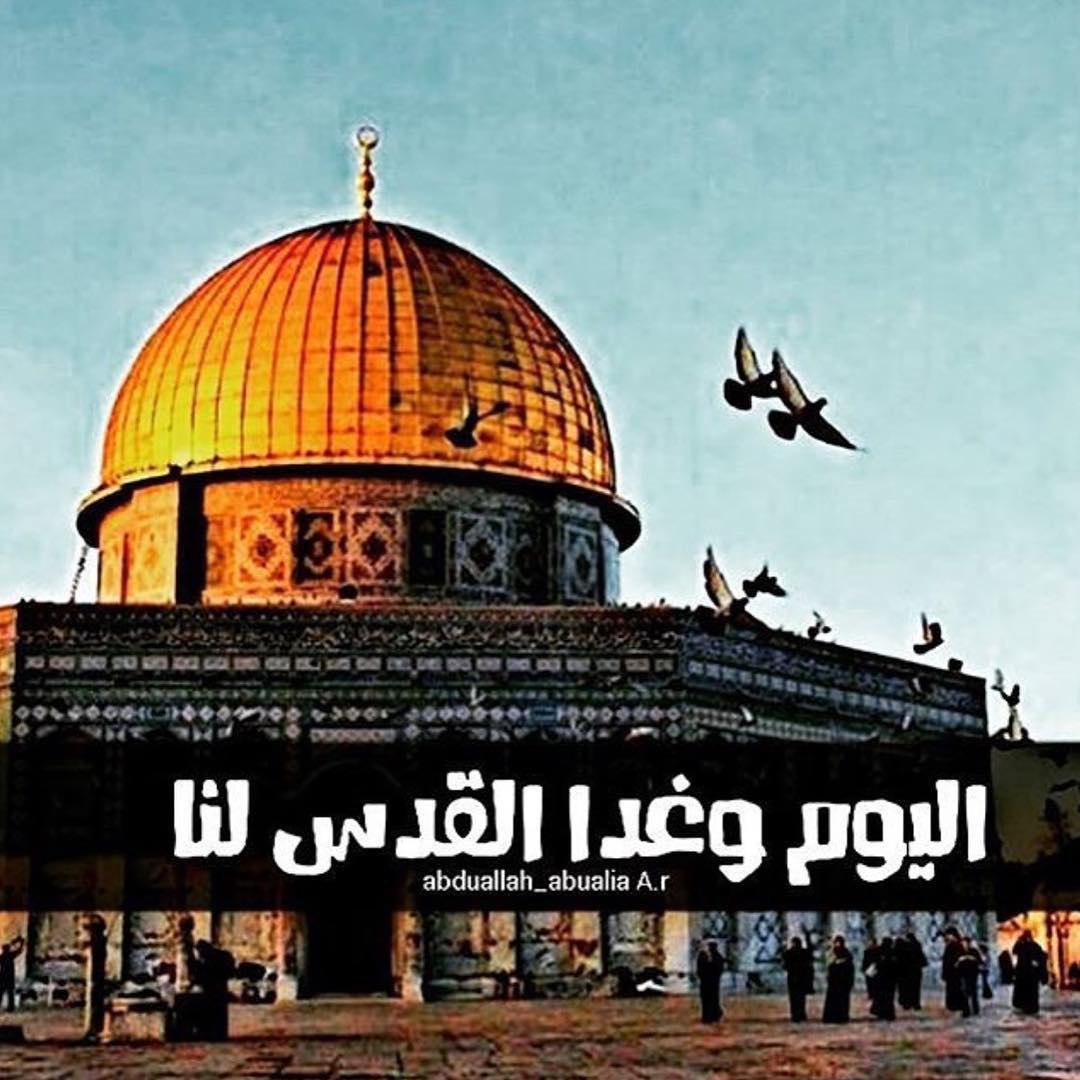 صور عن فلسطين - اروع الصور لشباب فلسطين 3129