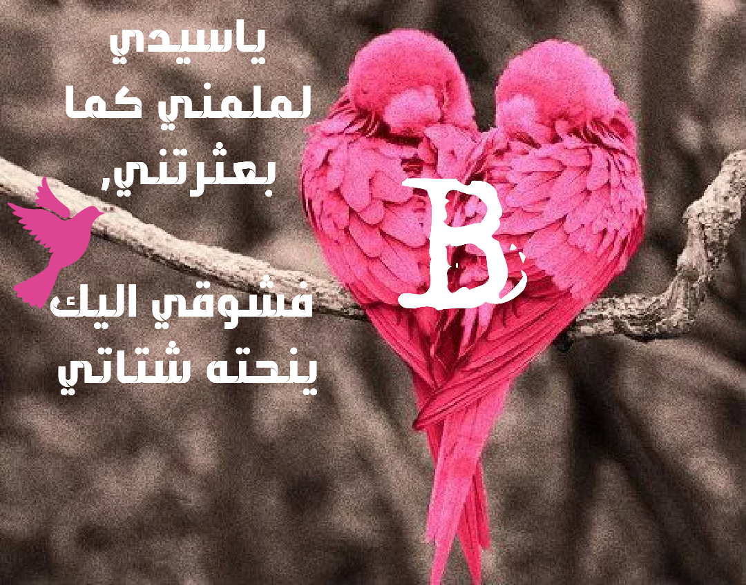 صور حرف B - اروع صور الحروف &Quot; حرف B &Quot; 714 2