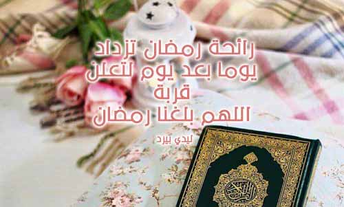 كلام عن رمضان 6141 9