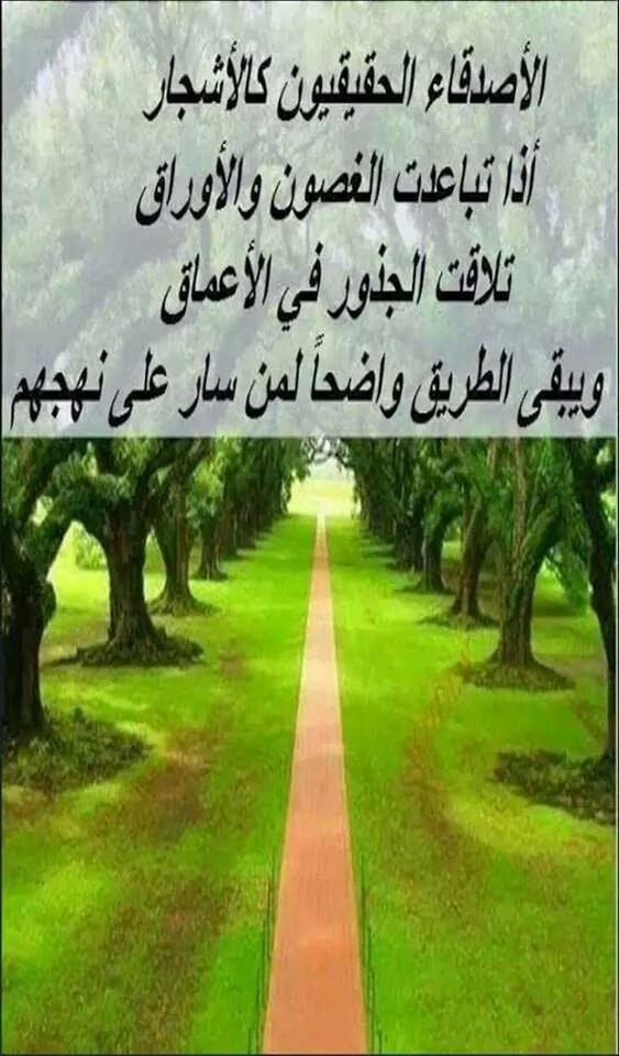 شعر عن الصديقة - اجمل ما قيل في الصداقه 2778 6