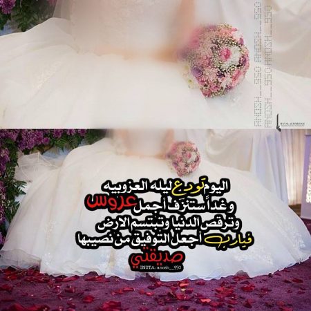 صور عن العروس - صور رائعة ومميزة للعروس 567 5