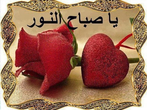 صباح نور - مااجمل هذه الصور الصباحيه 3681 8