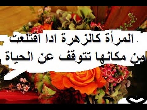 اجمل ما قيل عن المراة - المراة نصف المجتمع 2185 4