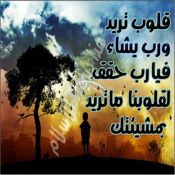 روعة الصور - اجمل الصور المميزة 5721 9