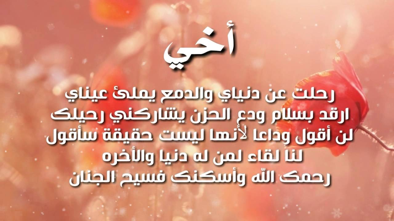 شعر عن الاخ الحنون - اجمل و اروع شعر عن الاخوات ممكن ان تراها 6735 9