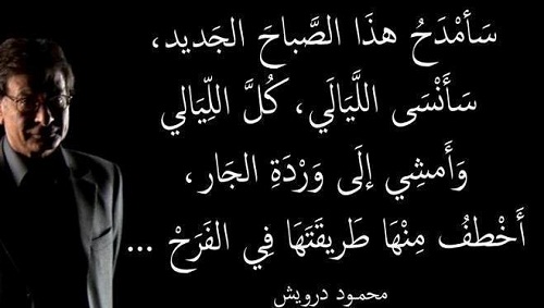 اجمل ماقيل عن الصباح - كلمات رقيقة و رومانسية عن شروق الشمس 3546 7