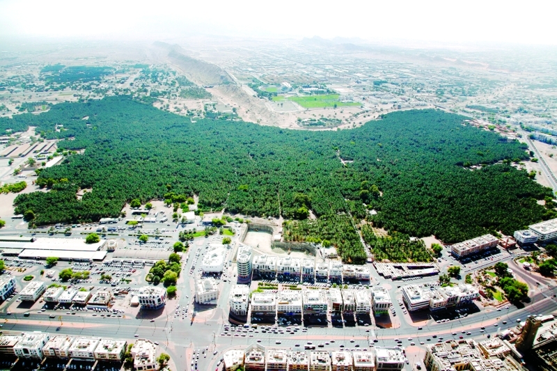 مدينة العين - مدينة العين الرائعة 3721 1