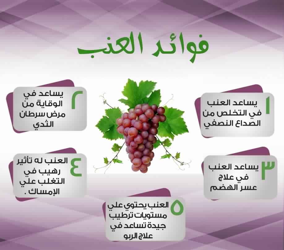 فوائد العنب - العنب الاحمر والاخضر والاسود 2234 1