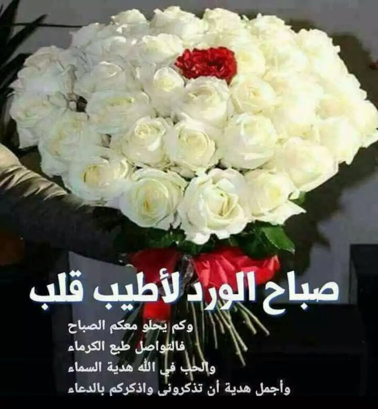 صباح الورد للورد - كلمات غزل عن الصباح 3276 4