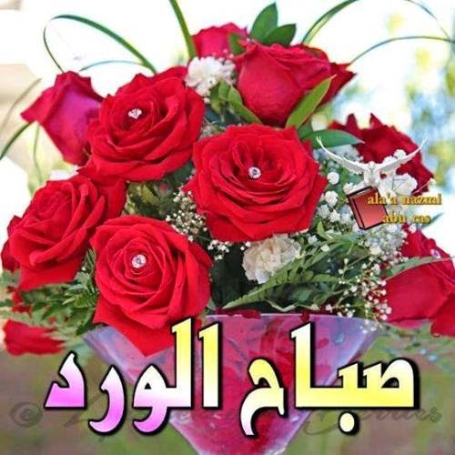 اجمل صور صباحيه - امنيات و دعوات للصباح 4231 5