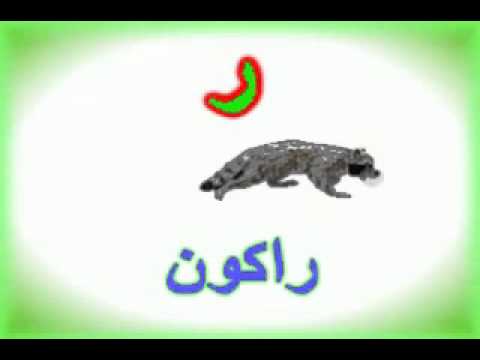 اسم حيوان بحرف الراء , أكثر الحروف المميزة