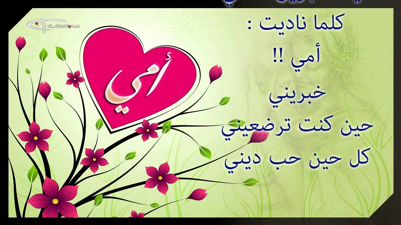 اريد صور حلوه - مجموعه من اجمل الصور الحلوة 4878