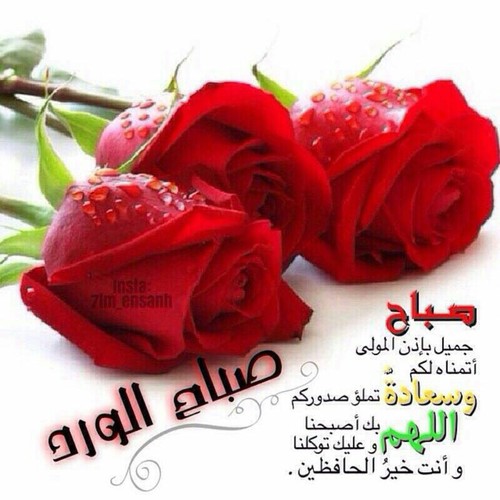 كلمات صباحية جميلة - عبارات للصباح علي صور 5864 6