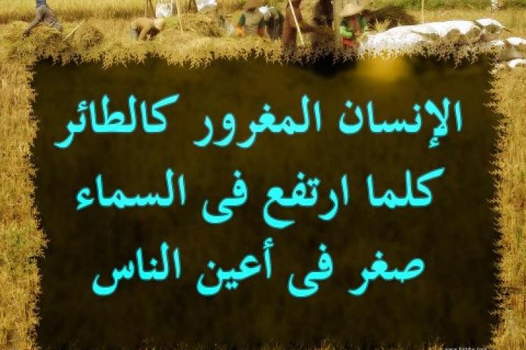 صور عن الغرور - كلامات معبرة عن الغرور والتكبر 4391 8