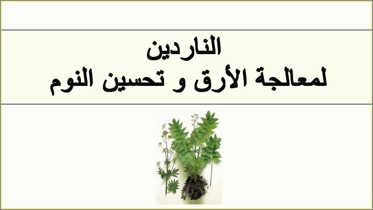 علاج الارق - كيفيه علاج الارق وقله النوم طبيعيا 3432 9