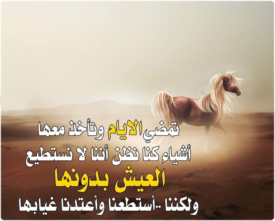 صور عن الكبرياء - اجمل و اروع صور تعرف عن الكبرياء 6587 13