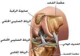 عملية الرباط الصليبي - اعراض قطع الرباط الصليبي 675