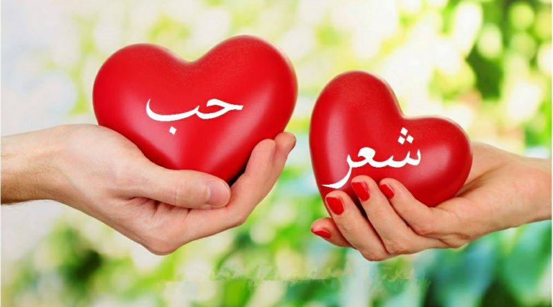 اجمل العبارات في الحب - اروع كلمات الحب المؤثره 5709 1