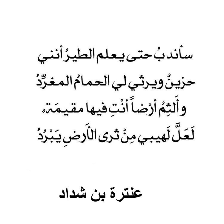 شعر فصيح - اجمل الخواطر والقصائد العربيه البسيطه 1628 4