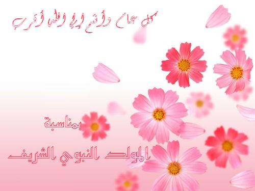 صور المولد النبوي الشريف - اروع صور لمولد الهدى 716 11