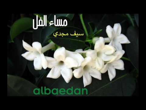 صور مساء الفل - احلى مساء الفل للغالين 335 5