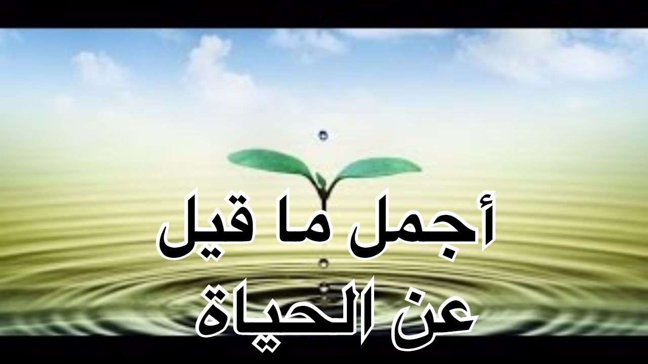 احلى ما قيل عن الحياة - حب الحياة 12513 13