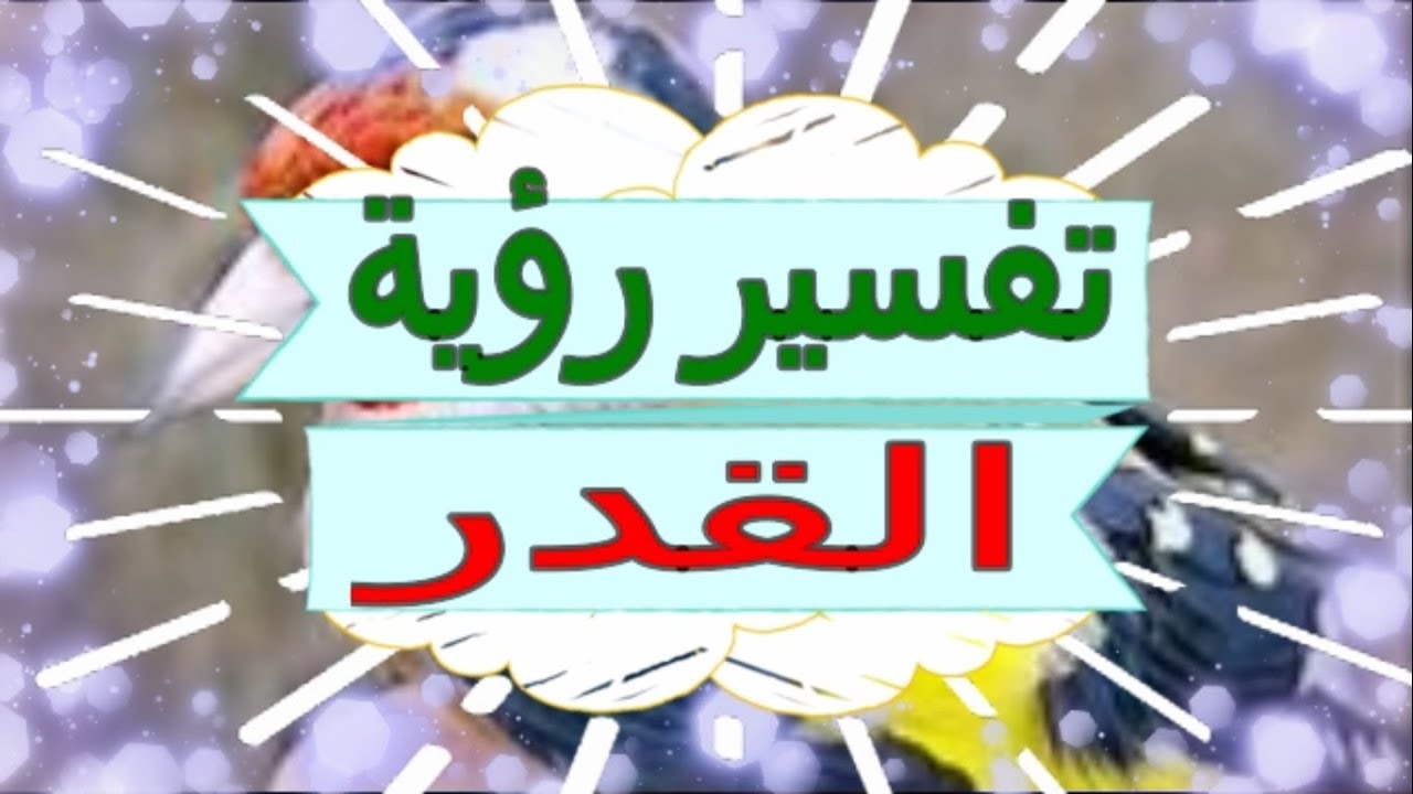 رؤية القدر في المنام , تعرفوا على تفسير لرؤية القدر في المنام