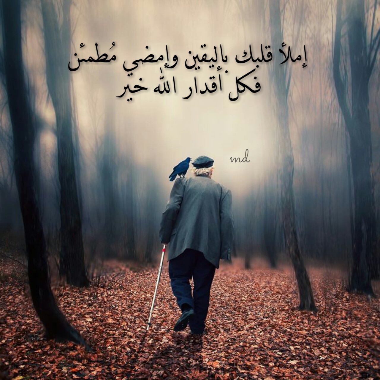 صور واتس حلوه - اروع صور متنوعة للواتس مكتوب عليها كلام مفيد 3218 12