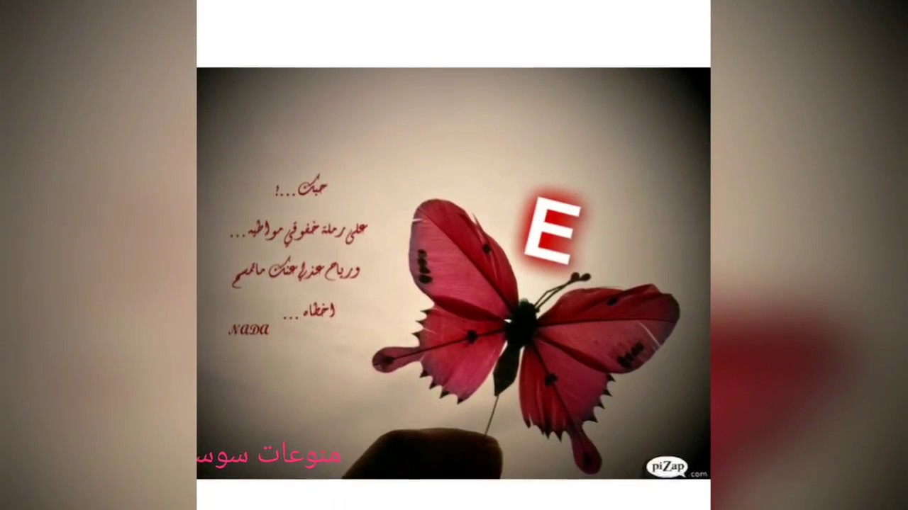 صور حرف E - اجمل صور لاجمل حرف واصغر حرف وهو E 908