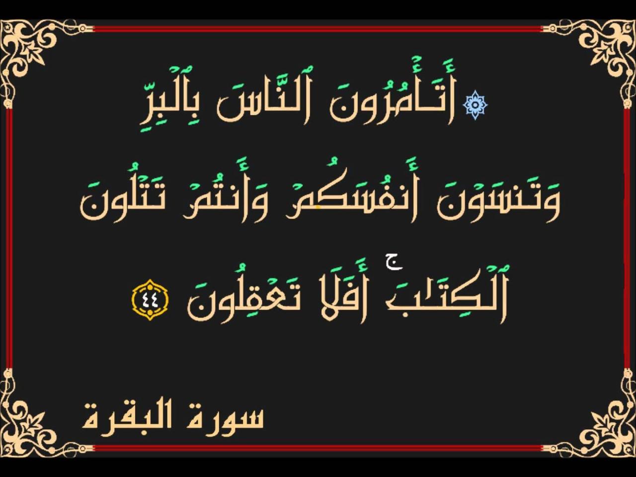 صور عن العلم - كيف تكون متقدما في المجتمع و امام الناس صور 1525 12