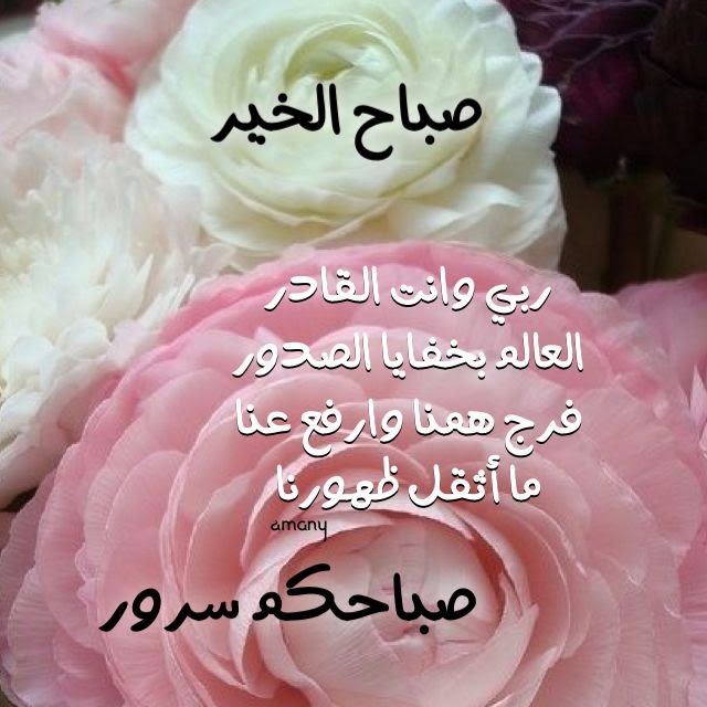 كلمات صباح الخير - اجمل الكلمات الصباحية الجميلة 5473