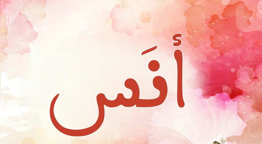 اسماء اولاد من القران - اسماء ولاد ذكر اسمها في القران 4564 8