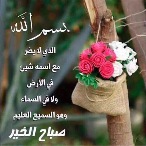 صور صباحيه جميله - اجمل الرمزيات الصباحية 645 1