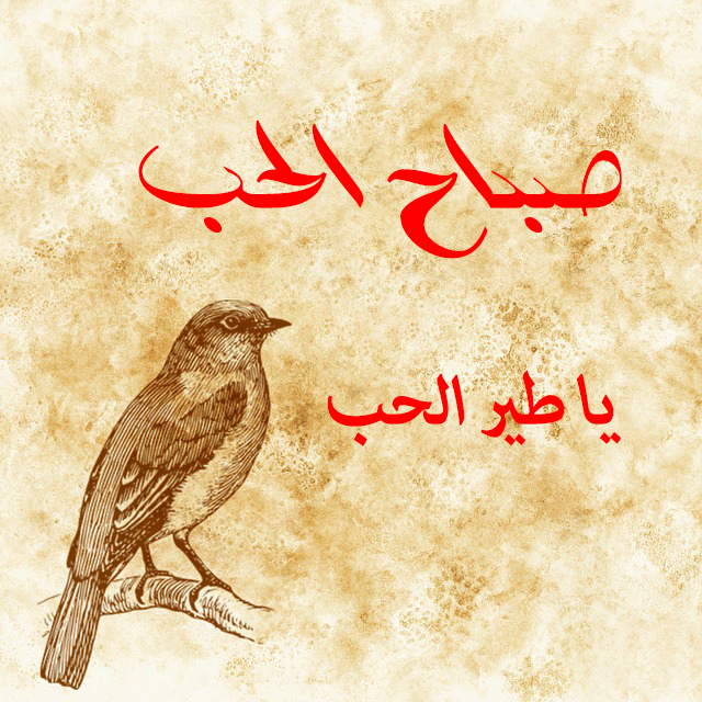 رمزيات صباح الخير - اروع صور صباح الخير 4915 6