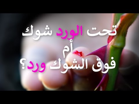 خواطر عن الورد - اروع الكلام مع الورود 708 8