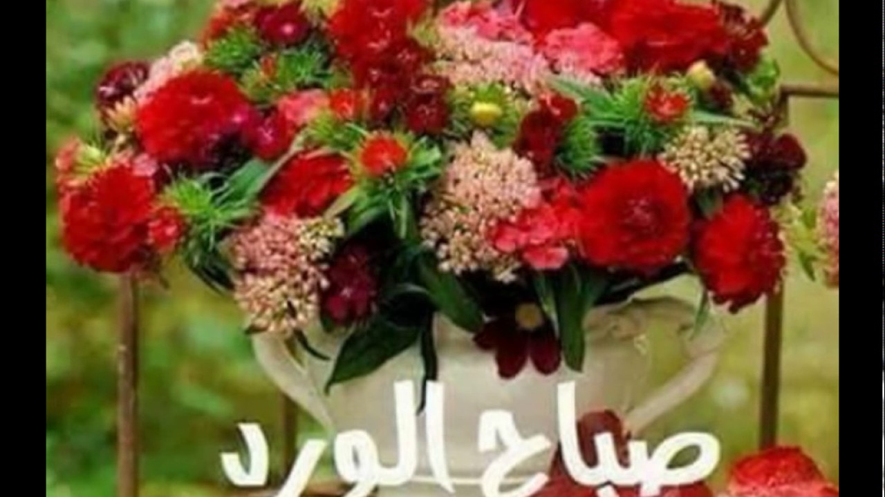 صور للصباح - اجمل صور للصباح نرسلها لمن نحب 6642 14