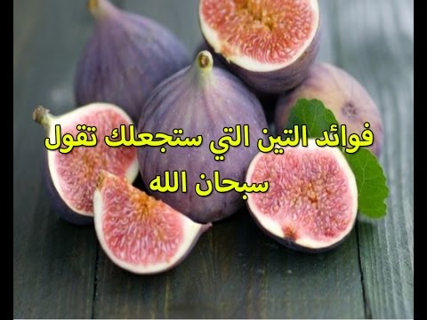 فوائد التين - منافع فاكهة التين 618 2