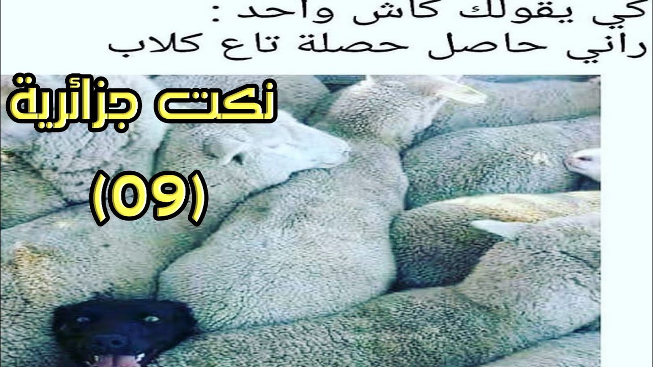 صور مضحكة جديد - شاهد اروع الصور المضحكه في العالم 12261 12