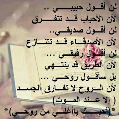 بيت شعر عن الحب 5925