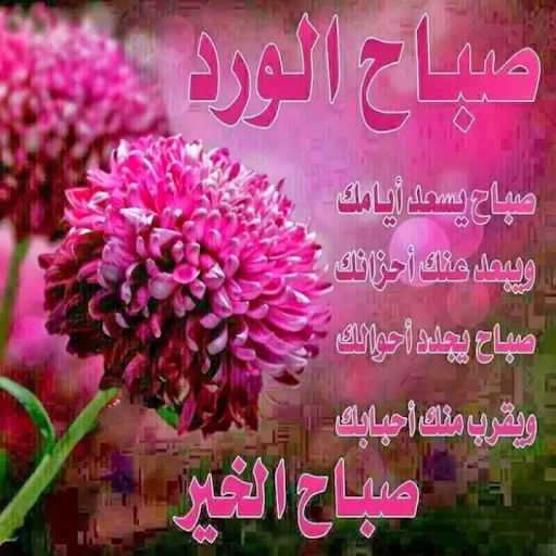 صور الصباح والمساء - اجمل صور للصباح والمساء 3687 2