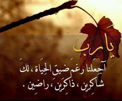 صور واتس جديده - احدث صور واتس اب 811 9