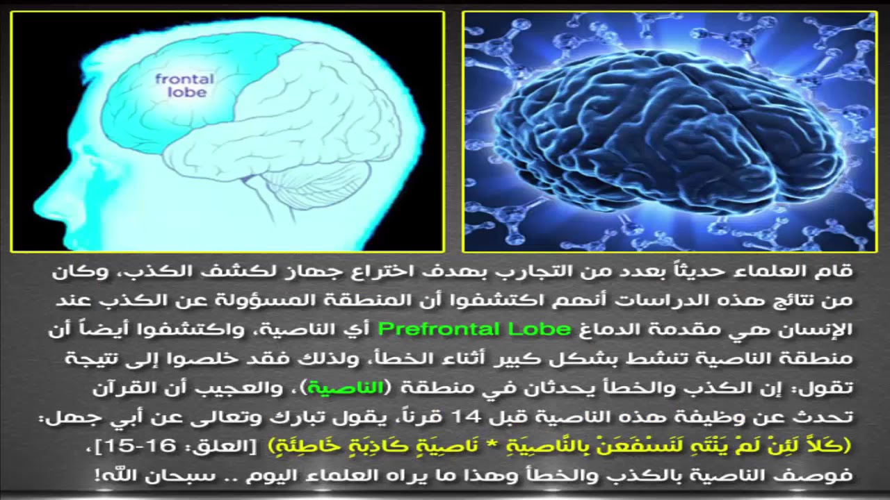 معلومات علمية - حقائق علوم وطب 1061 4