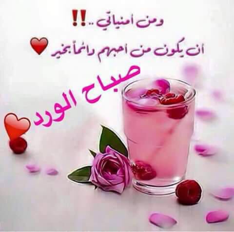 صور صباح العسل - اجمل العبارات الصباحيه 4248 5